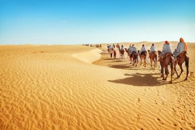 2-Day Tunisia Sahara Desert Camel Trek from Douz - Day 1 Ride Through Golden Dunes to Sunset