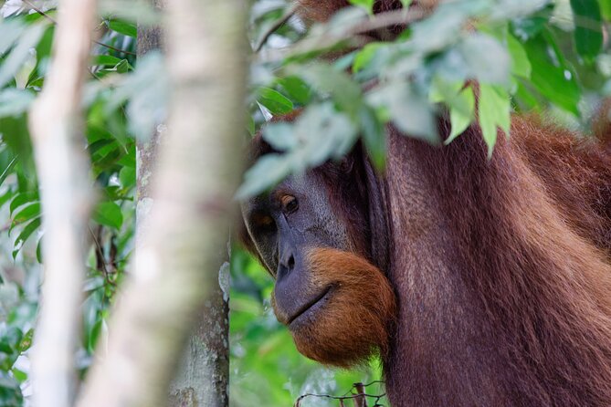 2 Days 1 Night Ethical Jungle Trekking - Returning: walk out or go tube rafting down the river