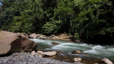 2 Days 1 Night Orangutan Trek Bukit Lawang - Finding orangutans while you’re actually in the habitat