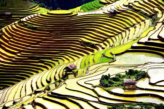 2 days 3 Nights Sapa Trekking Tour by Night Train from Hanoi - Lao Chai and Ta Van: Black Hmong, Dzao and Dzay life for 8 hours