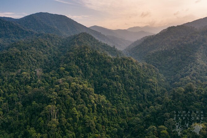 2 Days and 1 Night Ethical Jungle Trek - Campsite night: dinner, bonfire games, and mosquito-net reality