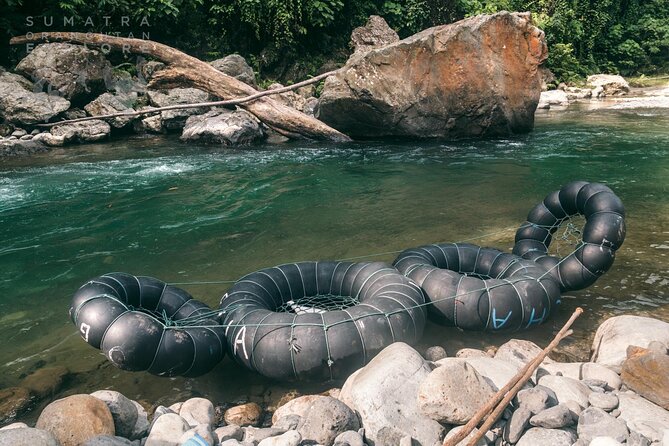 2 Days and 1 Night Ethical Jungle Trek - Day 2: breakfast in the rainforest, then deeper trekking