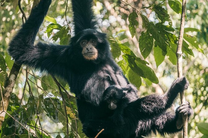 2 Days and 1 Night Ethical Jungle Trek - Guides and group size: why it affects your day
