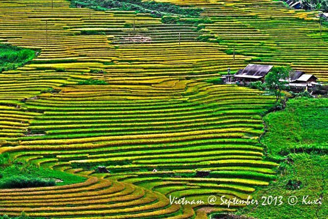 2 days authentic trekking tour in Sapa ( Homestay - Less touristy ) - Guides, communication, and choosing your trekking effort