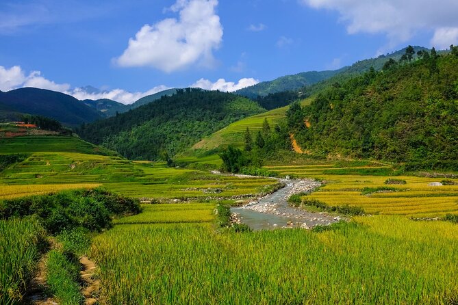 2 days authentic trekking tour in Sapa ( Homestay - Less touristy ) - Lunches, workshops, and how village meals change the pace