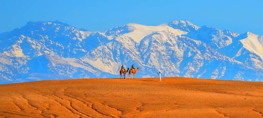 2 Days Desert Agafay and Atlas Mountains Trek From Marrakech - Organization and communication: how to avoid a frustrating second day