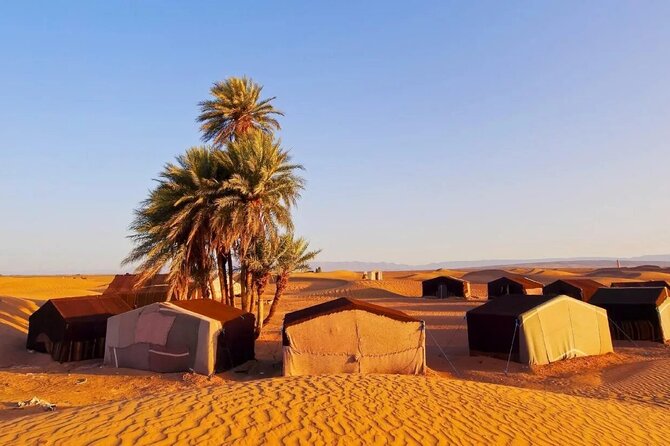 2 Days Desert Tour From Marrakech To Zagora And Camel Trek - Camel ride day 1 and your first night under Berber tents