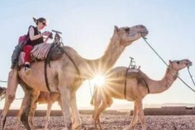 2 Days Desert Tour From Marrakech To Zagora And Camel Trek - Price and logistics: is $106 good value for two desert days?