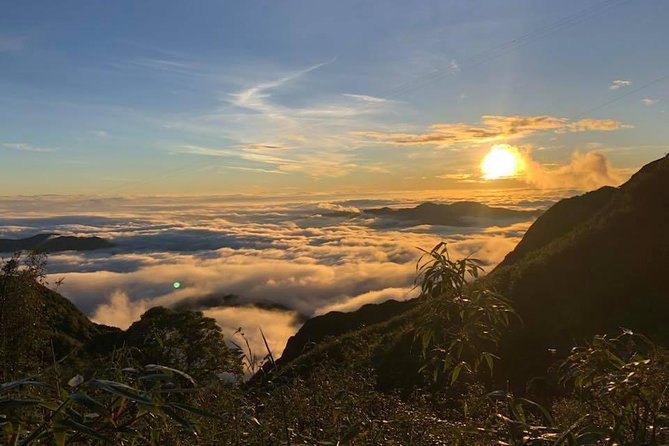 2 Days Fansipan Trekking - Day 1: Tram Ton Pass to Fansipan summit day
