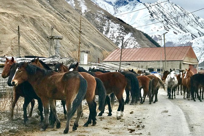 2 Days Private Tour to Kazbegi and Juta Village with Trekking - Day 1 on the Georgian road: Jvari, Zhinvali, and Gudauri