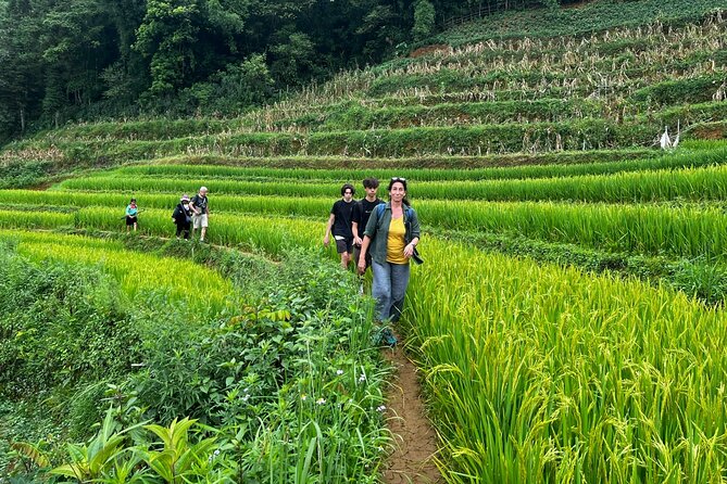 2 days private Wildland Trek in Sapa - Guide Quality Is the Real “Luxury” Here