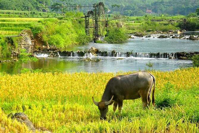 2 Days Pu Luong Offbeat Trekking Best for Mountain Lovers - Gateway Inn and Don Village: The Best Way to Ease Into Pu Luong