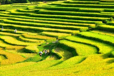 2 Days Pu Luong Offbeat Trekking Best for Mountain Lovers - Your Guide Makes Pu Luong Personal (Quốc, Lee, and More)