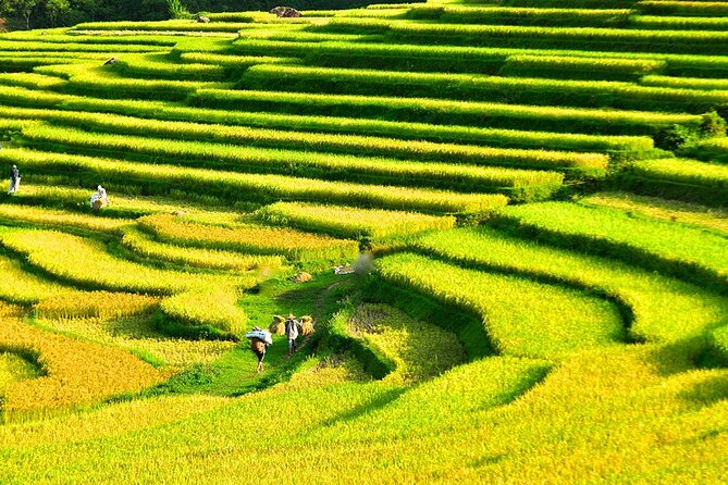 2 Days Pu Luong Offbeat Trekking Best for Mountain Lovers - Your Guide Makes Pu Luong Personal (Quốc, Lee, and More)