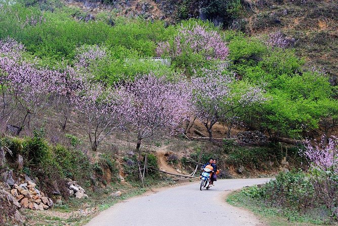 2 Days Sapa Trekking In Cat Cat And Ta Van Village From Hanoi - Day 1: Cat Cat Village and the Start of Mountain Life