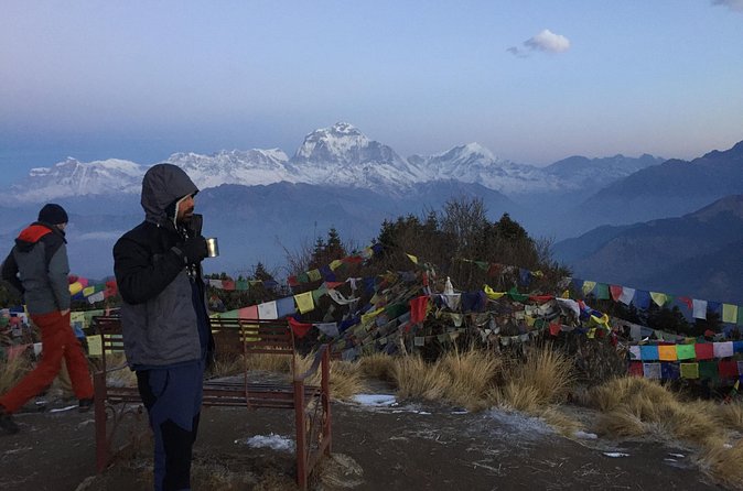 2 Days Short Poon Hill Trek - Price and value: is $200.52 per person a smart deal?