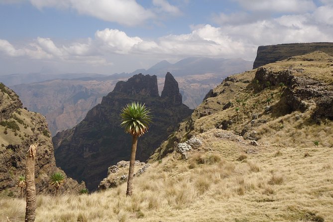 2 Days Simien Mountains Trekking - Price and Value: Is $295 a Good Deal for 2 Days?