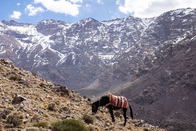 2-Days Toubkal Trek from Marrakech with Local Guide - Why This Toubkal Trek Works So Well From Marrakech