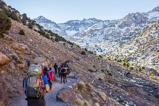 2-Days Toubkal Trek from Marrakech with Local Guide - Day 2 in Toubkal National Park: The Summit Push and Big Views