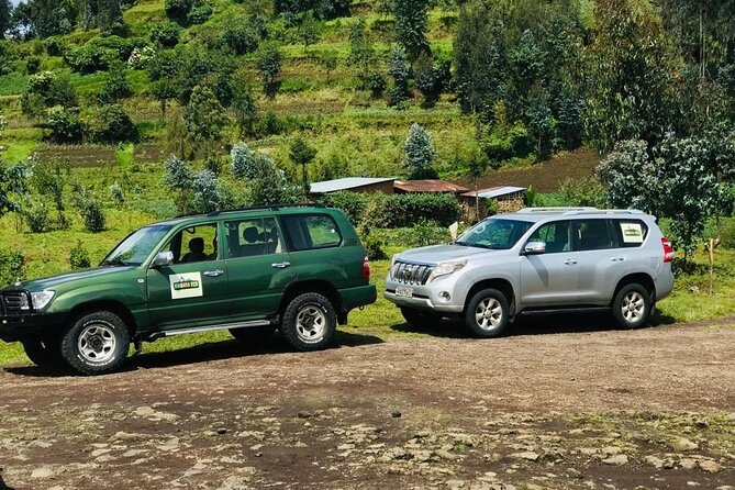 2 days Uganda Gorilla trekking - Bwindi Gorilla Tracking: What You Can Expect Once You Find Them