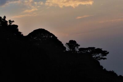 2 days Uganda Gorilla trekking - The Morning Rhythm: How Day 2 Sets You Up for Bwindi