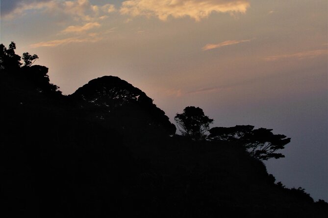 2 days Uganda Gorilla trekking - The Morning Rhythm: How Day 2 Sets You Up for Bwindi