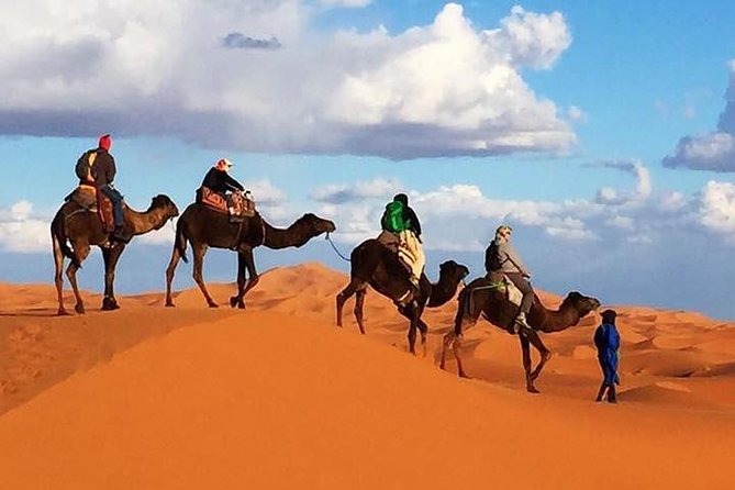 2 night camel trekking in merzouga desert - Two Nights in Erg Chebbi Dunes: What You’re Really Buying