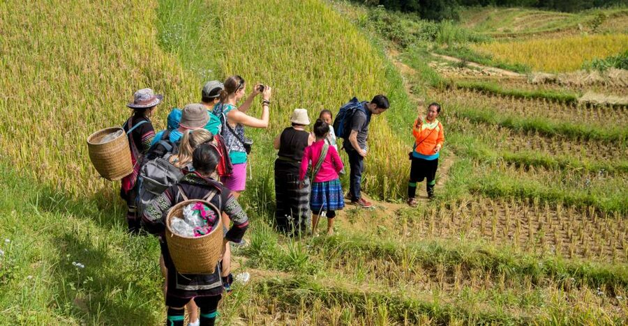 2 Night Lao Chai-Ta Van Homestay- Trekking & Fansipan Visit - Fansipan by cable car: the optional summit move