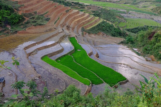2D1N Buffalo trek by Hmong Sister House and Trekking - Day 1: From Hau Thao village through everyday mountain life