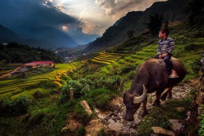 2D1N Buffalo trek by Hmong Sister House and Trekking - First pickup and the Zizi homestay reset