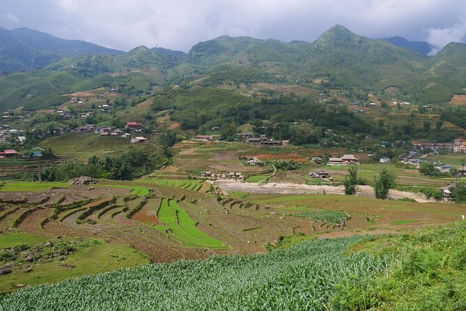 2D1N Buffalo trek by Hmong Sister House and Trekking - What to pack and how to plan for Sapa weather
