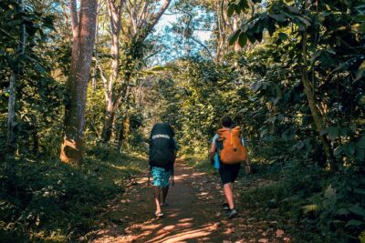 2D1N Senaru Crater Rim Trekking - Night on the crater rim: camping comfort that actually helps