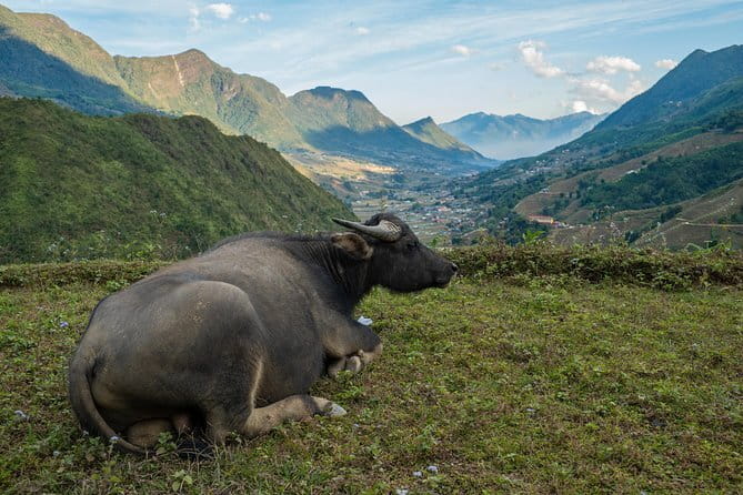 3 Day 2 Night Trek - Why this Sapa trek works better than the typical checklist tour