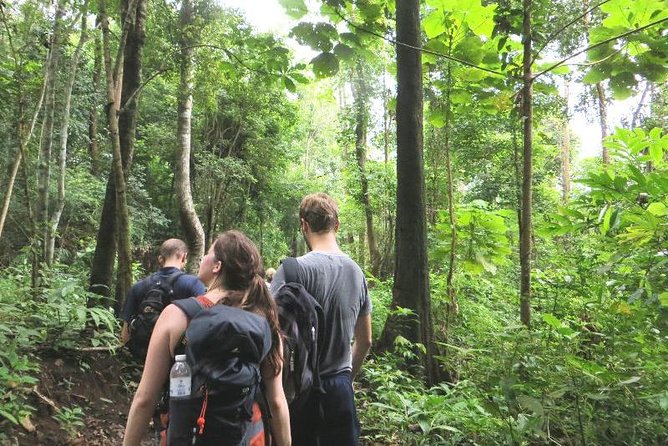 3-Day Chiang Dao Mountain Trek - Leaving Chiang Mai without losing your day