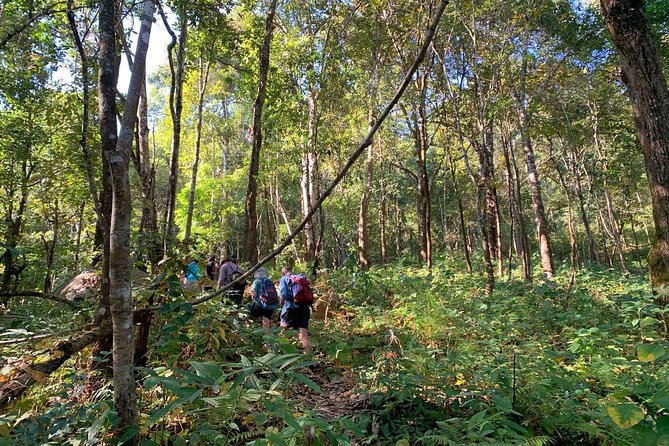 3-Day Chiang Dao Mountain Trek - Day 2: the long, steep day with jungle trails and ridge time