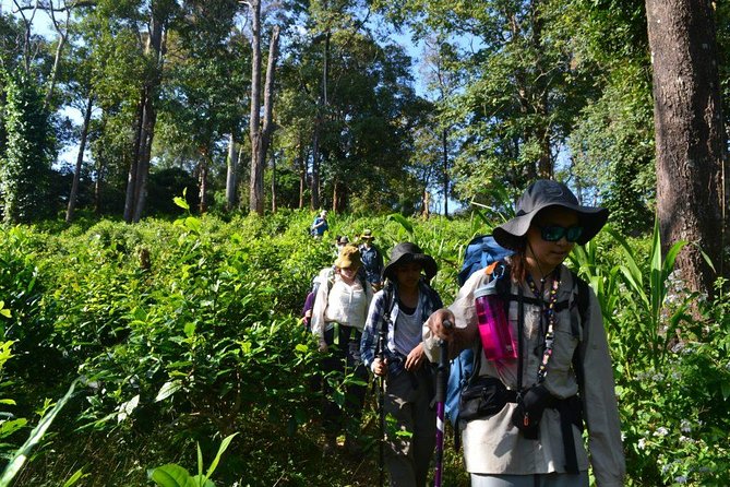 3-Day Chiang Dao Mountain Trek - Day 3: waterfall break, Maetang River valley descent, and the hard-earned calm