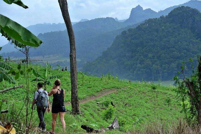 3-Day Chiang Dao Mountain Trek - What the meals and homestays really mean for your trip