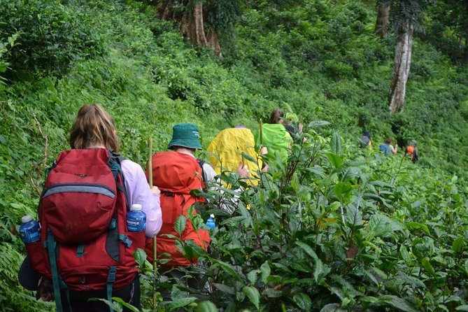 3-Day Chiang Dao Mountain Trek - Your guide (Mr. Tan, Mr. Sap) makes or breaks the trek
