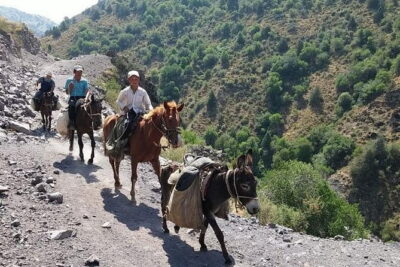 3-Day Chimgan Trekking Tour - How the Trek Is Set Up: Camping, Meals, and Real Support