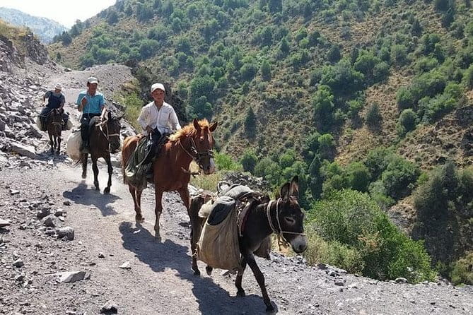 3-Day Chimgan Trekking Tour - How the Trek Is Set Up: Camping, Meals, and Real Support