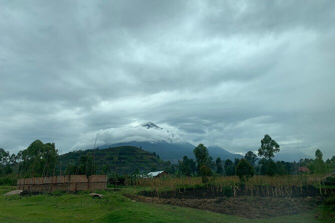 3 Day Gorilla Trek at Bwindi National Park via Kigali - Lodging and full board: what midrange usually means here