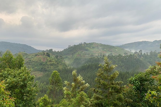3 Day Gorilla Trek at Bwindi National Park via Kigali - Who this trek fits best (and who might want a different plan)