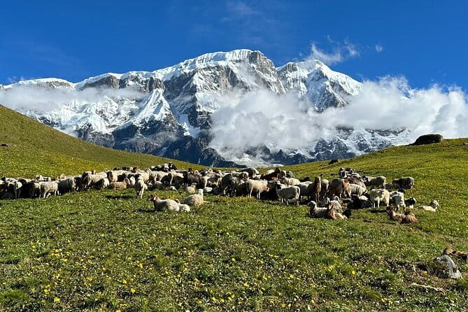 3 Day Kapuche Glacier Lake Trek with Siklesh from Pokhara - Day 2 early start to Kapuche Glacier Lake: the payoff day
