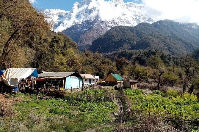 3 Day Kapuche Glacier Lake Trek with Siklesh from Pokhara - Guide support and group feel: comfort matters on long days