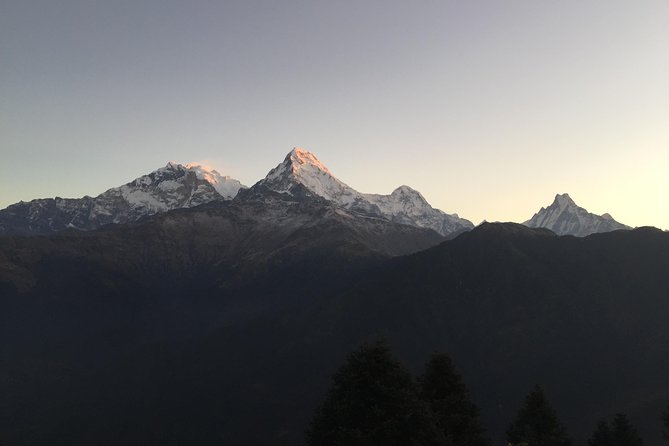 3-Day Poon Hill Trek from Pokhara. - The teahouse rhythm: meals, twin rooms, and what’s not covered