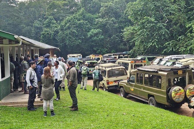 3-Day Private Guided Gorilla Trekking In Uganda - Day 3 Return: Kigali or Kampala, Plus Flexible Last Stops