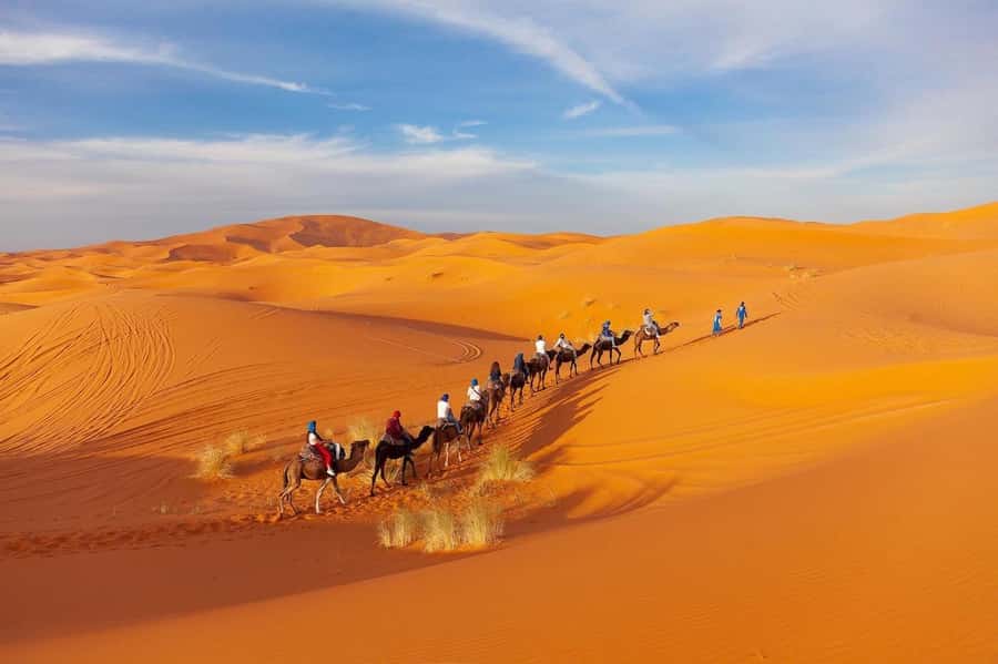 3-Day Sahara Tour Marrakech to Agadir + Camel & Quad - Who Should Book This Tour (and Who Might Reconsider)