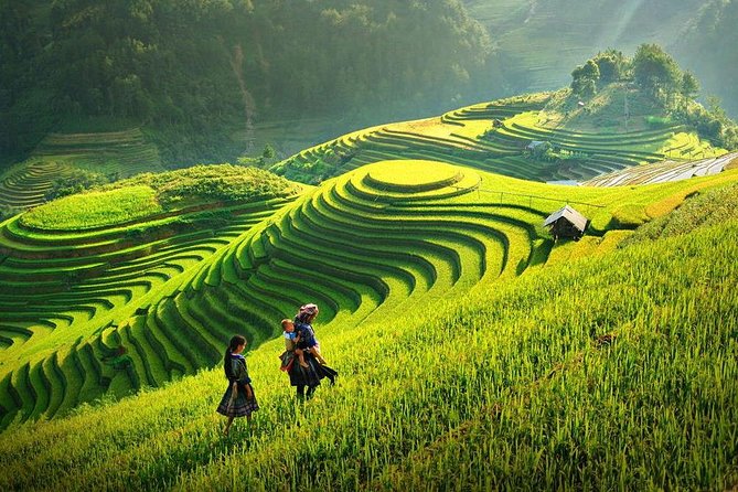 3-Day Sapa Real Valley View Homestay & Fansipan–Roof of Indochina - Guide Quality and Group Size: Why Small Counts Here