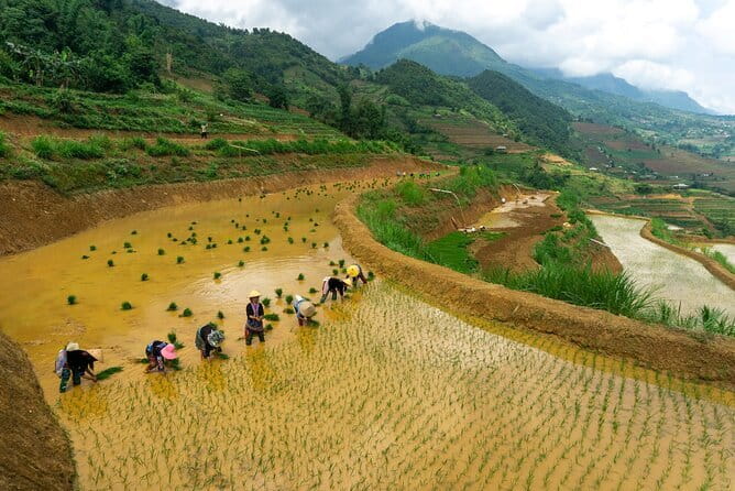 3-Day Sapa Trek, visit Fansipan (cable car) from Hanoi with local - Should you book this 3-Day Sapa trek with Vietmountain Travel?