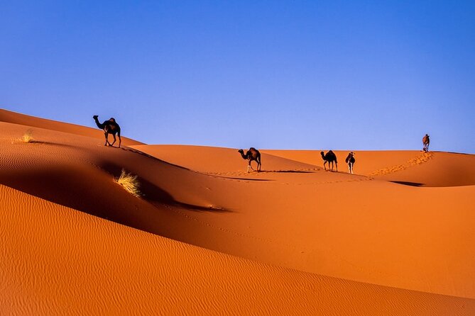 3-Day Shared Tour to Merzouga: Sahara Magic & Camel Trek - Quick hits before you go